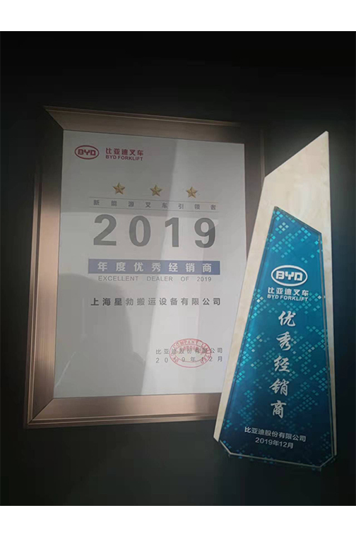 瑞安市比亚迪2019优秀经销商